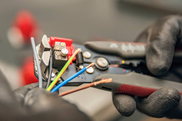 Best Affordable Electrician  in Berrien Springs, MI